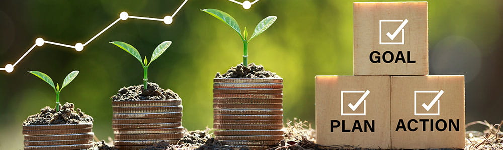 Stacked coins growing as part of a budgeting plan